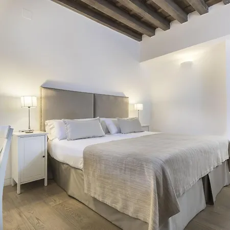 Hotel Shine Albayzín 3*