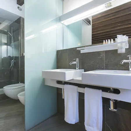 Hotel Shine Albayzín 3*